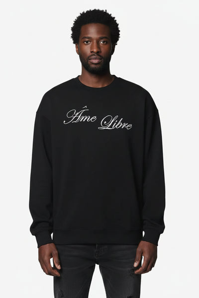 Observer Longsleeve Washed Grey - Âme Libre | LAB10STREETWEAR